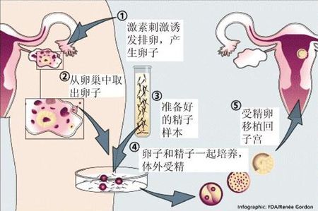 刘阳旭主任